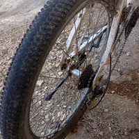 دو چرخه ۲۶|دوچرخه، اسکیت، اسکوتر|جوانرود, |دیوار