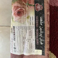 فرش اتاق خواب|فرش|مشهد, امیر|دیوار