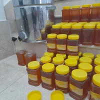 عسل خالص سبلان|خوردنی و آشامیدنی|مشگین شهر, |دیوار