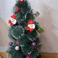 درخت کاج کریسمس