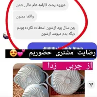 چربی زدا نانوسان|مواد شوینده و دستمال کاغذی|نظرآباد, مسکن مهر نظرآباد|دیوار
