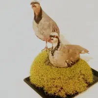 مجسمه|مجسمه، تندیس، ماکت|بن, |دیوار