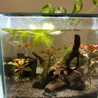 اکواریوم پلنت نانو کامل پمپ هوا فیلتر