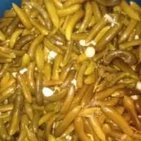 خیارشورهمدان درجه ۱ساندویچی|خوردنی و آشامیدنی|شوشتر, |دیوار