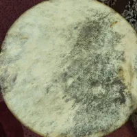 تنبک