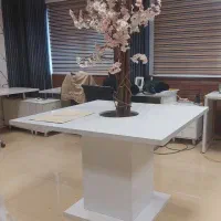 میز اداری به همراه دکور گل