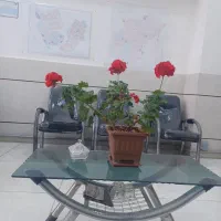 کارشناسان-ساحلی-آتاماشین-رهن-اجاره-105-متر