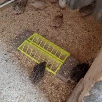 دان خوری  و آب خوری