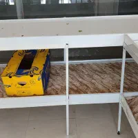 وسایل میوه فروشی|فروشگاه و مغازه|خمیر, |دیوار