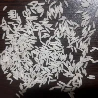 فروش برنج اقتصادی فجر باکیفیت ونیم دانه طارم هاشمی