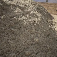 کاه لوبیا|لوازم جانبی حیوانات|اقلید, |دیوار