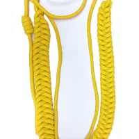 واکسیل نگهبانی/انتظامات