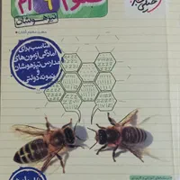 کتاب های درسی نهم|کتاب و مجله آموزشی|تهران, یافت آباد شمالی|دیوار