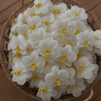 شمع|صنایع دستی و سایر لوازم تزئینی|کرمان, |دیوار