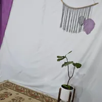 سن برای عکاسی و فیلمبرداری برداری|دوربین عکاسی و فیلم‌برداری|آران و بیدگل, |دیوار
