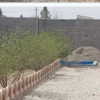 باغ هزارمتر گل مینا