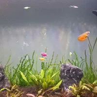 آکواریوم مجهز کامل