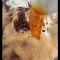 شیره انگور درجه یک ارگانیک فقط فقط کیلو 160