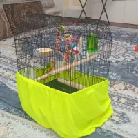 قیمت‌۵میلیون‌تومان‌|پرنده|تهران, جیحون|دیوار