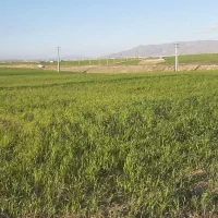 ۲۰۶۰۰متر زمین سردخانه مجوزدار،دارای چاه عمیق
