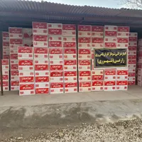 پکیج و رادیاتور ایران رادیاتور