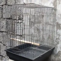 قفس بزرگ مخصوص طوطی سانان|لوازم جانبی حیوانات|رشت, آب و برق|دیوار