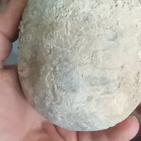 انواع سنگهای کلکسیونی وشهاب،عقیق،جاسپر|کلکسیون اشیاء عتیقه|تکاب, |دیوار