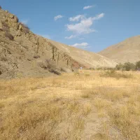 زمین مناسب احداث باغ