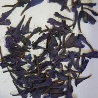 گل گاوزبان داماش