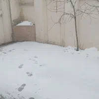 اجاره-ویلایی-دربست