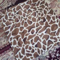 روبالش|پشتی|ارومیه, |دیوار