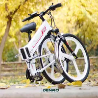 دوچرخه برقی تاشو Randride سایز 26 رنگ مشکی|دوچرخه، اسکیت، اسکوتر|تهران, حشمتیه|دیوار
