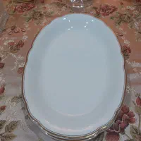 دیس های بزرگ و متوسط