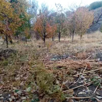 فروش زمین کشاورزی