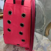 کوله پشتی سگ‌ وگربه