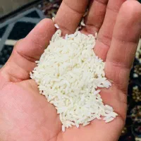 برنج طارم درجه یک دورود