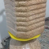 فروش گاماروس غذای ماهی