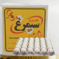 پخش تخم مرغ سیمرغ در استان