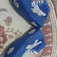 کفش کشتی