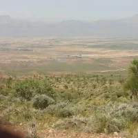 سرمایه برای دامداری