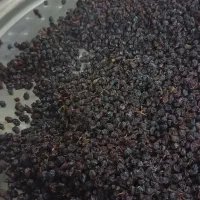 کشمش مویز ریز خیلی شیرین
