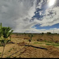 فروش لوله قطره ای یک اینج اندازه یک هکتار باغ|خدمات باغبانی و درختکاری|درودزن, |دیوار