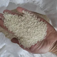 طارم عطری|خوردنی و آشامیدنی|آزادشهر, |دیوار