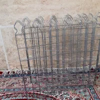 پارک سگ نوی نو