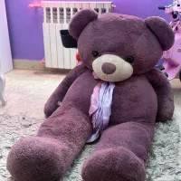 خرس 140 سانتی