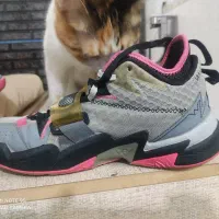 کتونی اورجینال45جوردن|کیف، کفش، کمربند|هشتگرد, شهرک بعثت|دیوار