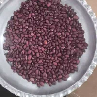 لوبیا قرمز درجه ۱ به شرط