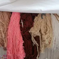 کرمان قلم. بافته شده. بانخ نساجی. درجه 1|فرش|مراغه, |دیوار