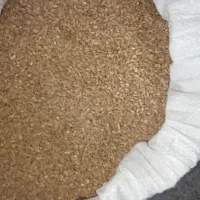 گندم درجه یک