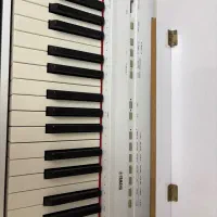 پیانو yamaha|پیانو، کیبورد، آکاردئون|ساری, |دیوار